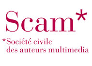 [DB/ST] Enquête sur traduction et adaptation audiovisuelle